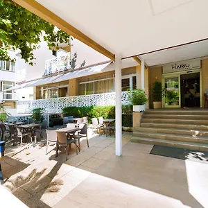 Hotel Mantovani Murano, Rimini